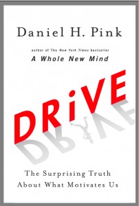 Drive cover