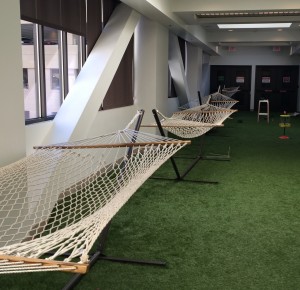 Zappos hammocks