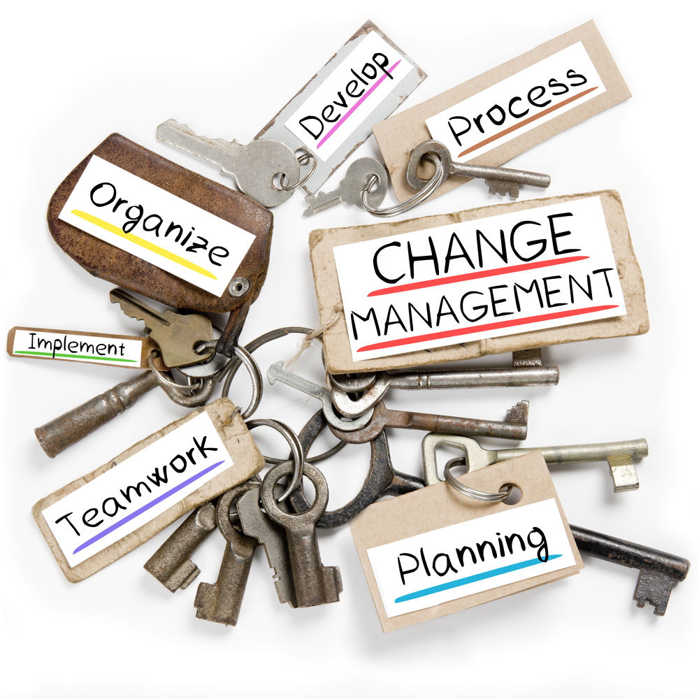 The 15 Keys Of Successfully Managing Change | ERE