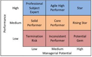 The Case For Junking 9 Box Assessments 