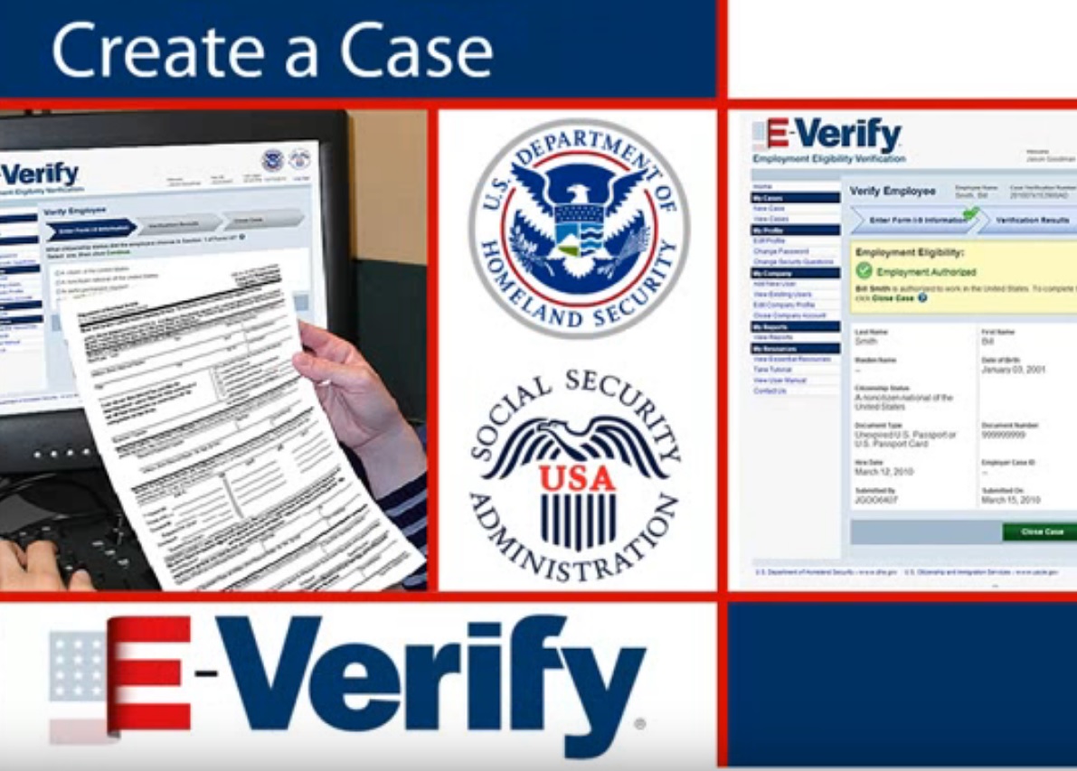 Verify перевод. E verify am. Verifying creator.